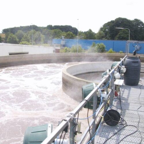 Ecodor EC250 (koncentrat)