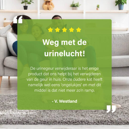Afbeelding met een klantreview over het verwijderen van urinelucht, geplaatst over een foto van een gezin op een bank, met tekst en sterrenbeoordeling.